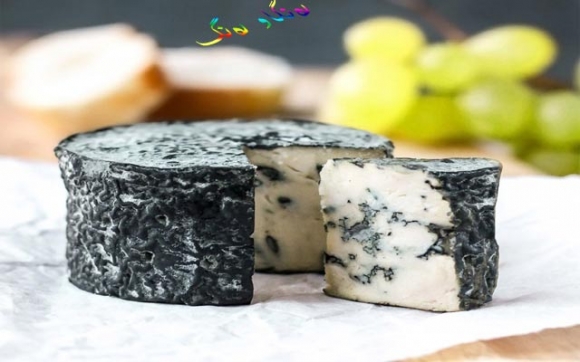 پەنیری مۆدێرن